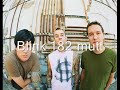 blink 182: mutt