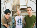 blink 182: mutt