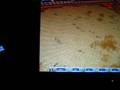 videos de dino island-dinozaur game
