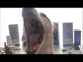 videos de Smile Frisco