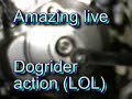 Setting TDC YFZ450