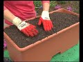 Earthbox Planter Earthbox Planter