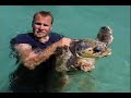National Geographic Wild Chronicles : Turtles vs Sharks National Geographic Wild Chronicles : Turtles vs Sharks