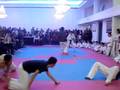 TAEKWONDO ROMEO 18