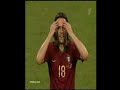 World Cup 2006 Portugal vs Holland fight