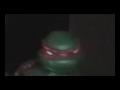 Turtle Power