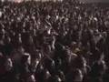 Chaucha Kings Tabaco y Ron Ver Video