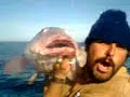 pesca embarcado