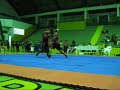 2�roud 2�luta(II Copa Aowushu)