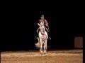 Spectacle equestre Tarbes