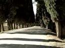 Antiqua Dimora Tuscany Antiqua Dimora Tuscany