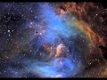 Spirals -- David Eagleman