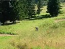 descente du loup la clusaz