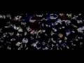 Beyoncé - One Night Only (Dreamgirls)
