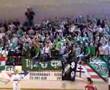 fehérép alcoa - FERENCVÁROS