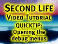 Opening the debug menus - Second Life Video TuTORial QUICKTI