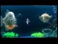 salmon dace - chemical brothers