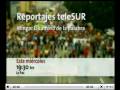 Promo teleSUR