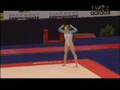 Sandra Izbasa FX EF Euros 2008