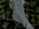 Raptor FA-22 Raptor FA-22