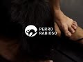 ATP promo ATP promo