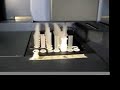 urine genetic test
