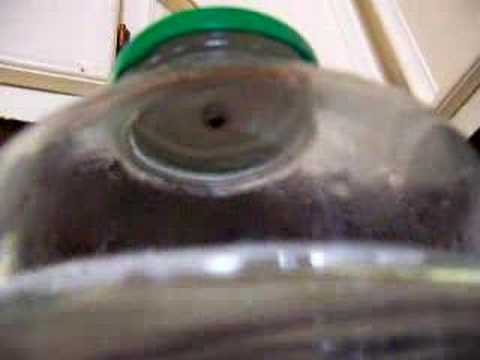 Boiling Water Without Heat - Vapor ...