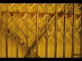 osu-smith-lab-haughton-freight-elevator.html