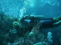 Cancun Scuba Pictures
