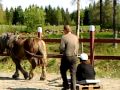 Jimmy o Dackus turism och post service! ;)