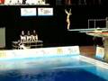Guo Jingjing (郭晶晶) at 2008 FINA World Cup - 3m Springboard