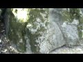 Some views at Castle Rock State Park in Northern California.  Located just south of Saratoga Gap on Hwy 9 south along Skyline Blvd, this park features unique rock formations, rock climbing, and hiking trails including a 75 foot high waterfall about 1 miles from the parking lot.