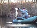 Brochet au leurre , Lucio con se�uelo, Pike with lure