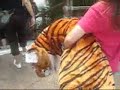I Win Giant Tiger