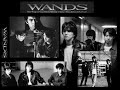 WANDS - そのままの君へと・・・ -