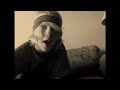 Software Collage and Update on Thanksgiving Vid