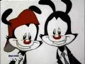 Mucha Muchacha: Esquivel vs. Animaniacs