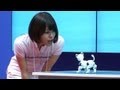 i-SODOG robot pet dog controlled via smartphone, can communicate with its friends #DigInfo