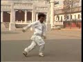 chinese kungfu