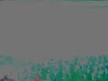 1 Fc K�ln Platzsturm vs. Mainz 05 11.05.2008