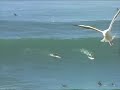 La Jolla Big Wednesday