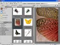 Tutorial Adobe InDes