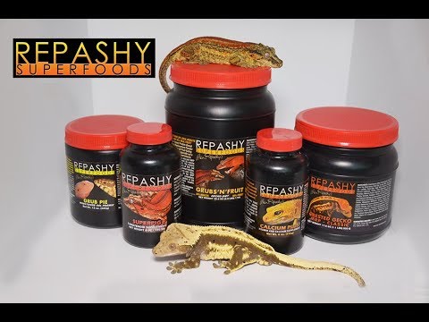 YouTube reptile video