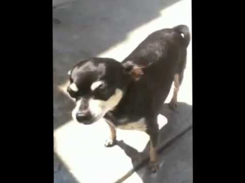 how to treat a 15 ft pool