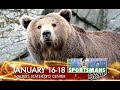 2009 Great Smoky Mountains Sportsmans Show