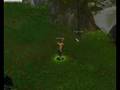 Sro-Video