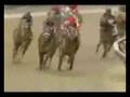Curlin - A Living Legend