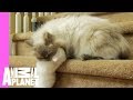 Mom to the Rescue! | Too Cute!