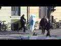 Milk on the street