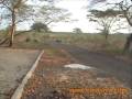 Baluran, National Park Situbondo - East Java